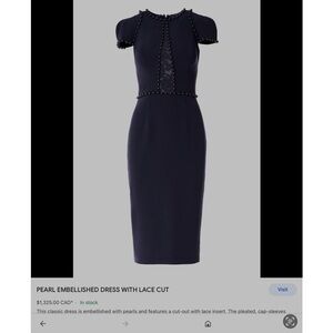 Lucian Matis Canadian Designer Elegant Gray Dress with Pearl Accents size 10